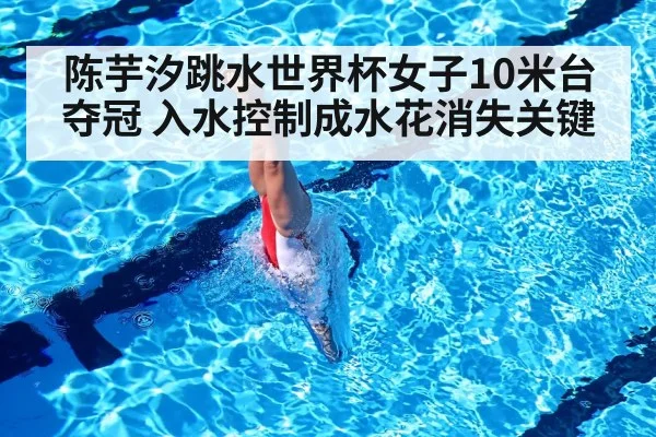 陈芋汐跳水世界杯女子10米台夺冠 入水控制成水花消失关键