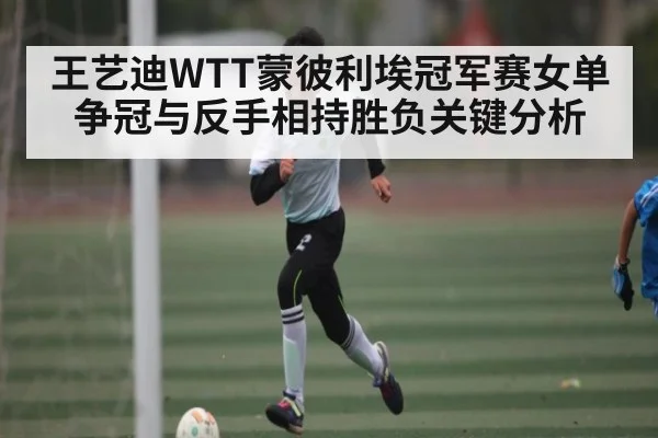 王艺迪WTT蒙彼利埃冠军赛女单争冠与反手相持胜负关键分析